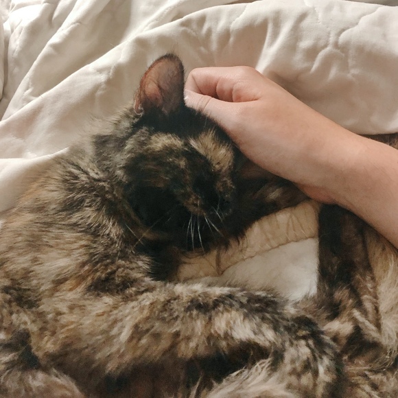 Meet your Posher, Michael - Picture 1 of 1